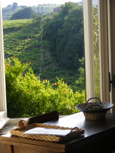Finestra (2)